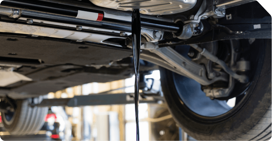 Oil and Filter Change Service